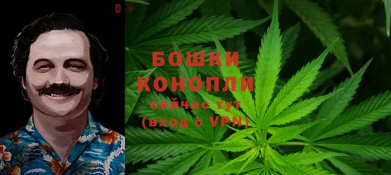 купить наркотик  Чебоксары  Бошки Шишки Ganja 